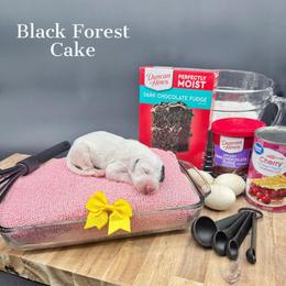 Dalmatian, Poodle, and Rhodesian Ridgeback Puppies from Ruffles, Ridges, & Spots!