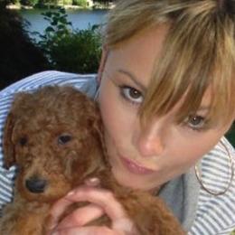 Poodle Puppies from Celebrity Red Standards