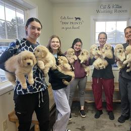 Girl 1 - Golden female Golden Retriever puppy in New York Mills, New York from Nevani Goldens