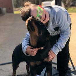 Rottweiler Puppies from Bronx Von Bridges Rottweilers