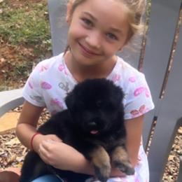 German Shepherd Puppies from AB_Elite_GSD