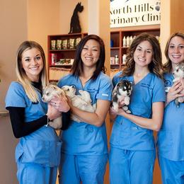 Siberian Husky Puppies from Pachodi Kennels