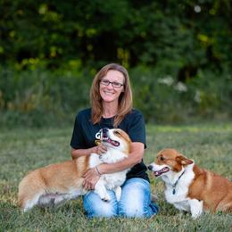 Chief - Pembroke Welsh Corgi
