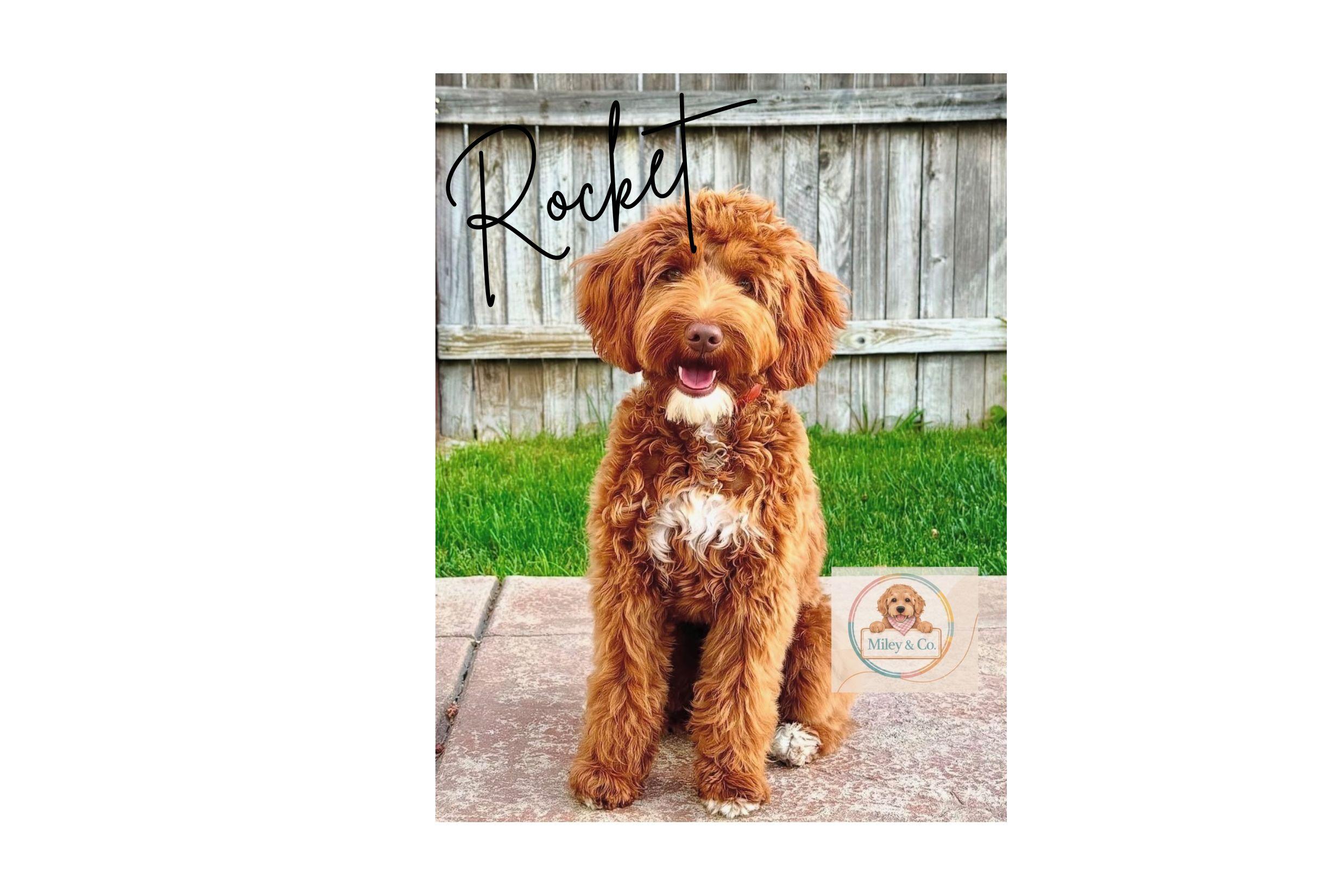 Rocket