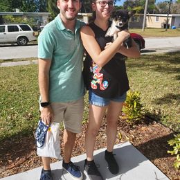 American Corgi and Pembroke Welsh Corgi Puppies from Koko's Kennels