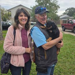 Girl 1 - Black and mahogany female Rottweiler puppy in Humble, Texas from Inexorable Haus Early Rotts