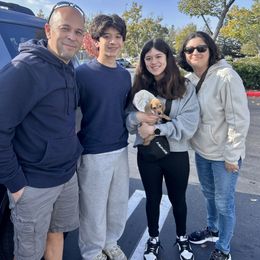 Honey - Cream female Dachshund puppy in Browns Valley, California from Hidden Oaks Dachshunds