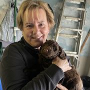 Dick Butkas - Brown Barbet puppy in New Bedford, Massachusetts from Barbie's Barbets
