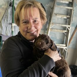 Dick Butkas - Brown Barbet puppy in New Bedford, Massachusetts from Barbie's Barbets