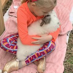 Great Pyrenees Puppies from Dancing Cloud Great Pyrenees