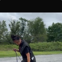 Labrador Retriever Puppies from Rose Gold Retrievers