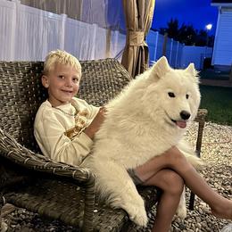 Samoyed All Grown Up from Marissa Wheeler