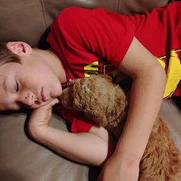 Aussiedoodle, Goldendoodle, and Labradoodle Puppies from Loving Doodle