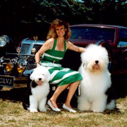 Old English Sheepdogs from Lambluv