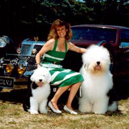 Old English Sheepdogs from Lambluv