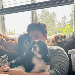 Luna - Black and white female Cavalier King Charles Spaniel puppy in Spanaway, Washington from Roy-alty Cavaliers