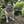 Unnamed