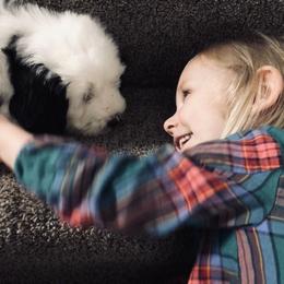Old English Sheepdog Puppies from Bumblebears Old English Sheepdogs
