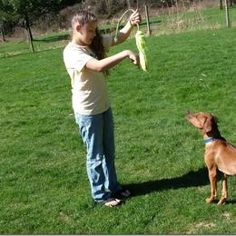 Rhodesian Ridgeback Puppies from ApacheRidge Ranch