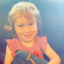 Weimaraner Puppies from North Georgia Weims