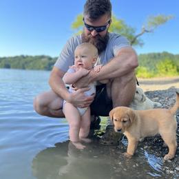 Labrador Retriever Puppies from AGL Retrievers