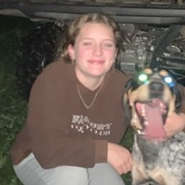 Bluetick Coonhounds from Pleasant Valley Blueticks