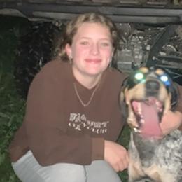Bluetick Coonhounds from Pleasant Valley Blueticks