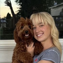 Goldendoodle and Poodle Puppies from French Creek Doodles