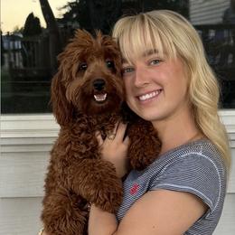 Goldendoodle and Poodle Puppies from French Creek Doodles