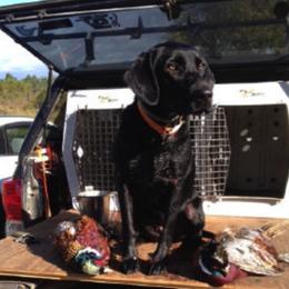 Labrador Retrievers from Muck Madness Retrievers