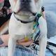 Winston