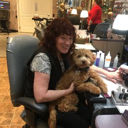 Goldendoodle Puppies from Rocks & Roses Doodles