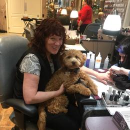 Goldendoodle Puppies from Rocks & Roses Doodles