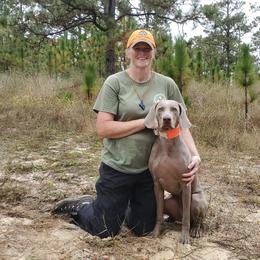Weimaraner All Grown Up from Firemark Weimaraners