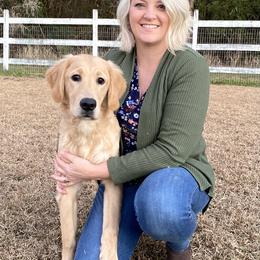 Golden Retriever Puppies from Lowcountry Goldens