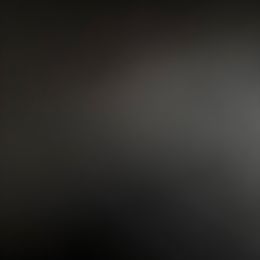 Lilia - Chocolate female Havanese puppy in Englewood, New Jersey from Happy Havanese NJ