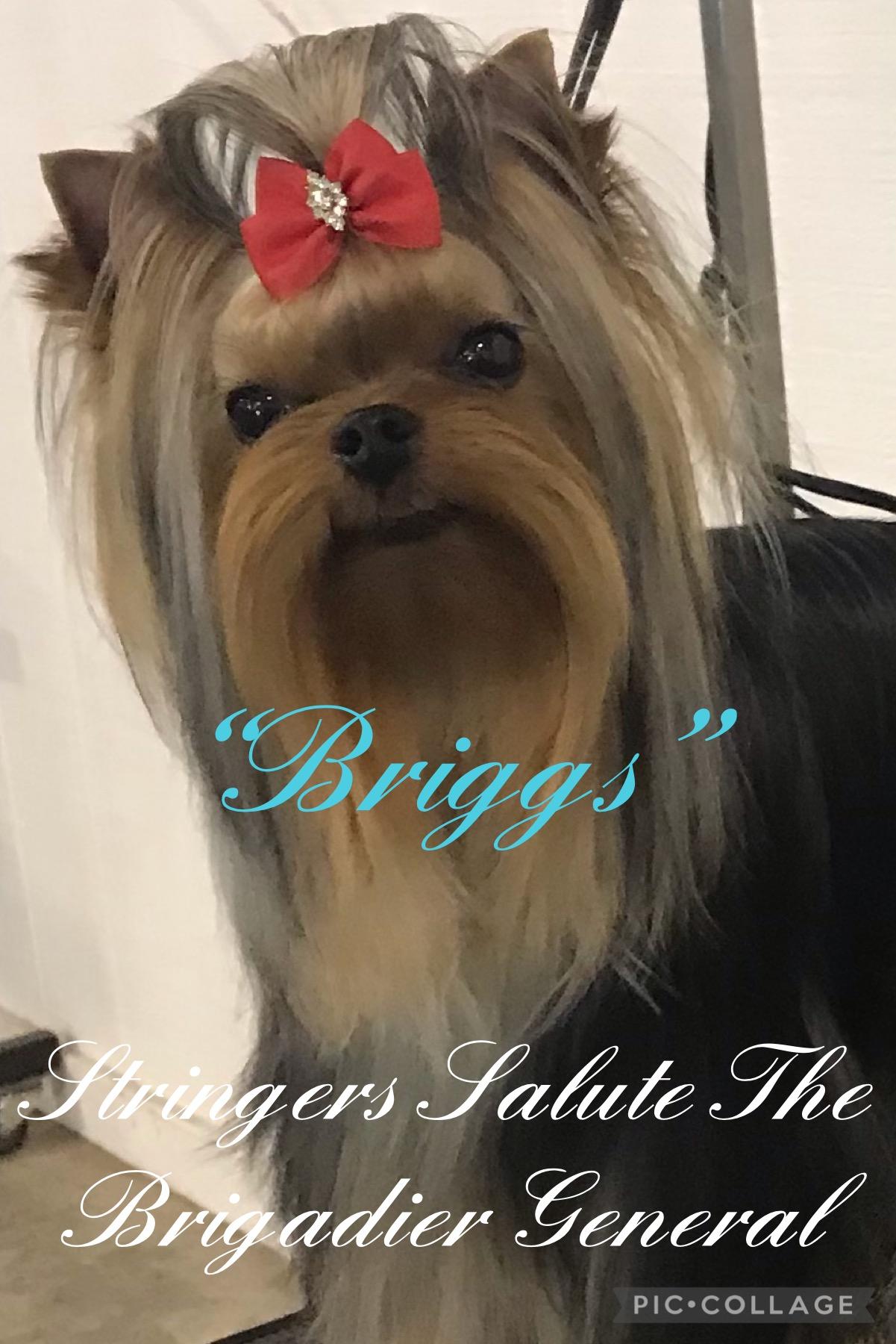 Briggs
