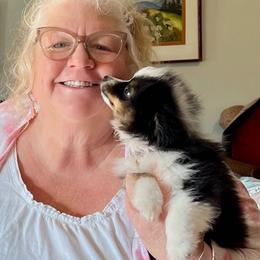 German Shepherd and Miniature American Shepherd Puppies from Bouchard’s Best Shepherds