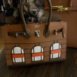 Bibi - Fawn and white male Chihuahua puppy in Washington, Washington, D.C. from VIP Chihuahuas