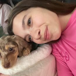 Dachshund Puppies from Lone Star Dachshunds