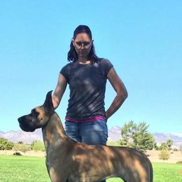 Great Danes from Mo'Danes