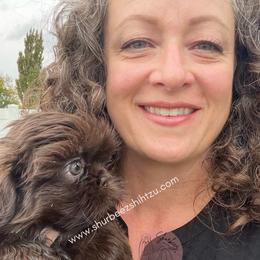 Shih Tzu Puppies from Shurbeez Shih Tzu