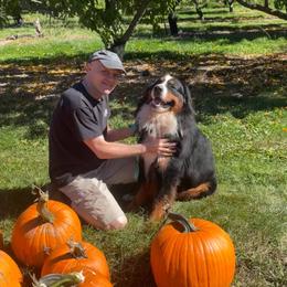 Atlas - Bernese Mountain Dog