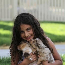 Australian Shepherd, Miniature American Shepherd, Miniature Australian Shepherd, and Toy Australian Shepherd Puppies from Painted Blue Aussies