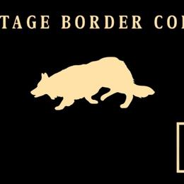 Border Collies from Heritage Border Collies