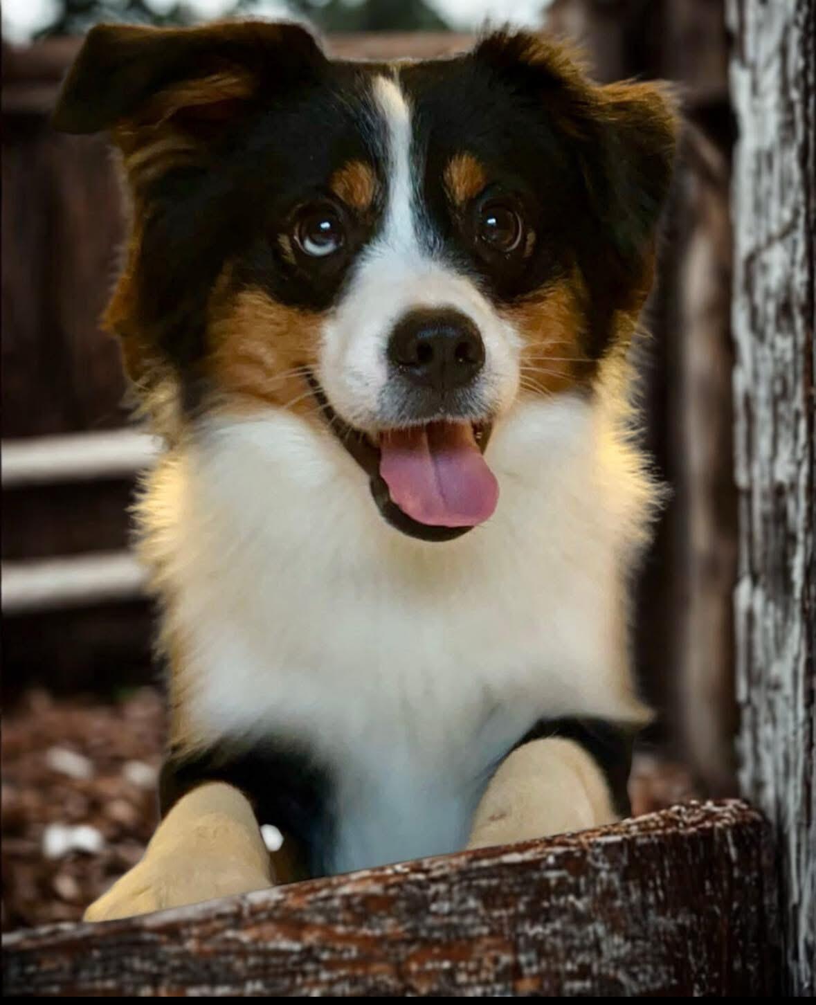 Hudson
