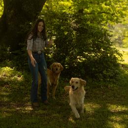 Golden Retriever All Grown Up from Magnolia Farm