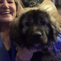 Sarplaninac Puppies from KF Bogy’s Farm, LLC