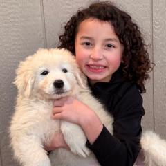 Orange Boy - White male Maremma Sheepdog puppy in Kings County, California from Prancing Pony Farm Maremma Sheepdogs