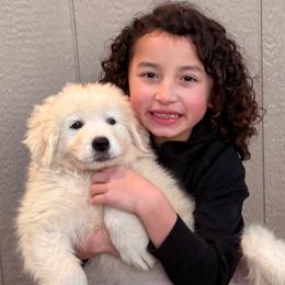 Orange Boy - White male Maremma Sheepdog puppy in Kings County, California from Prancing Pony Farm Maremma Sheepdogs